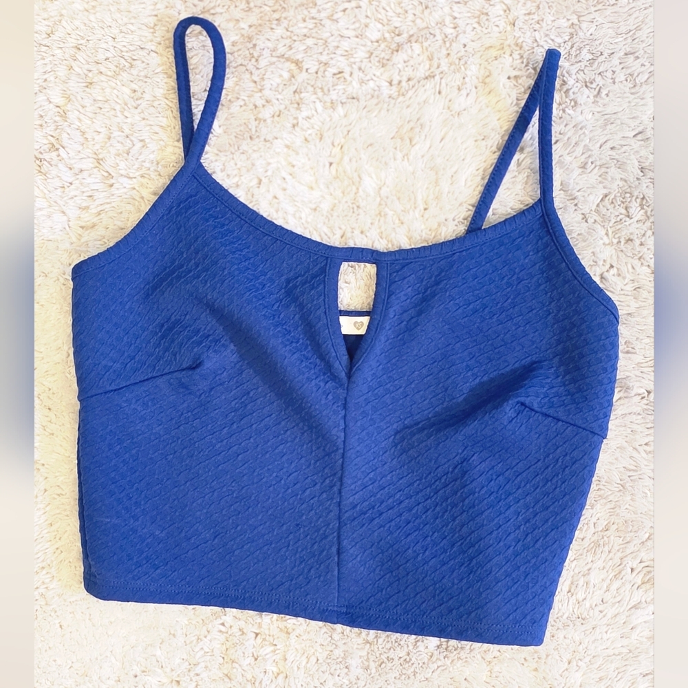 Soprano Blue Crop Top